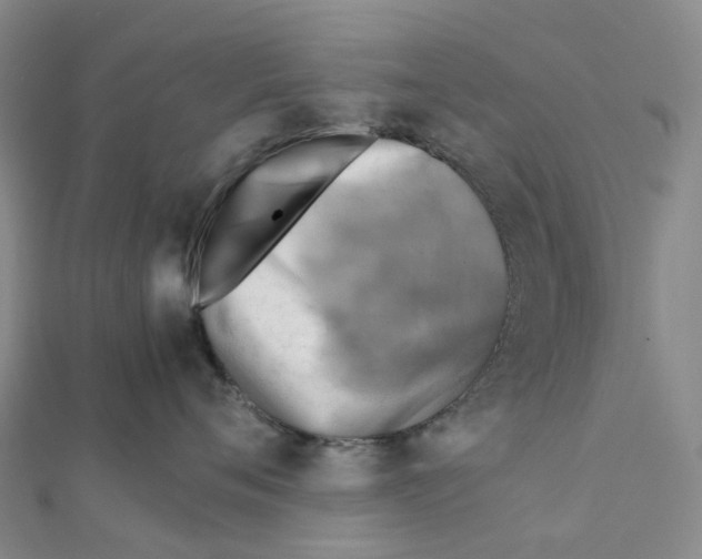 X0000112090720200909011104