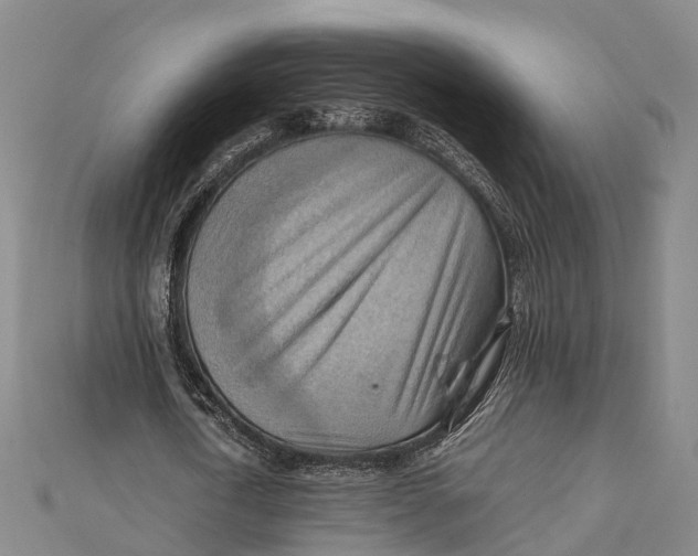 X0000112090722200909011104