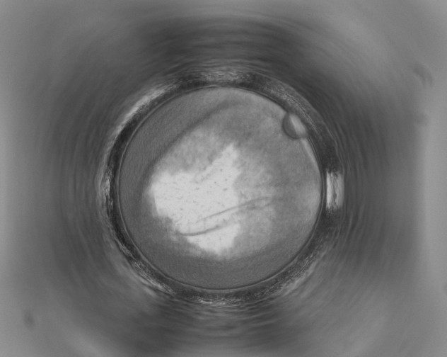 X0000112090723200909011104