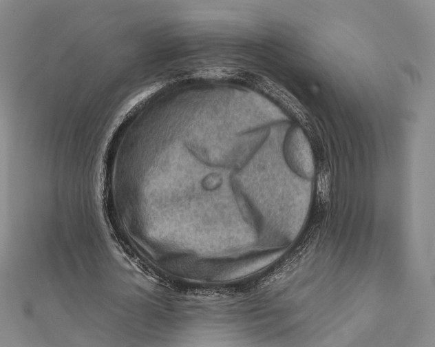 X0000112090724200909011104