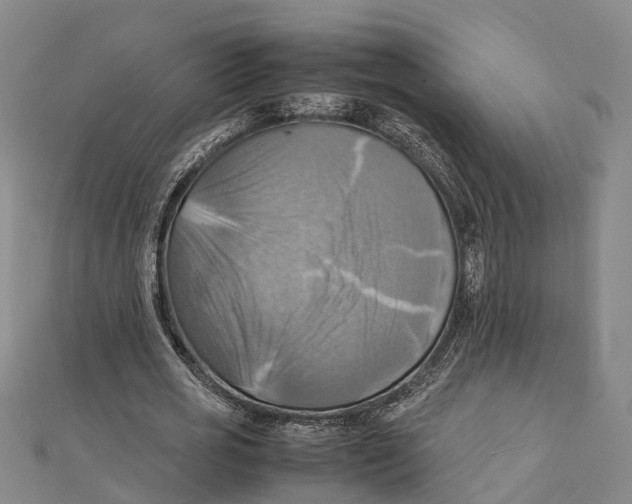 X0000112090725200909011104