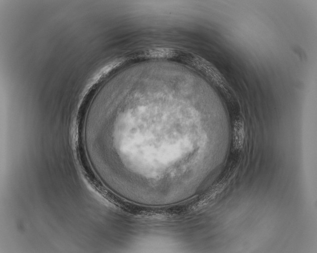 X0000112090726200909011104