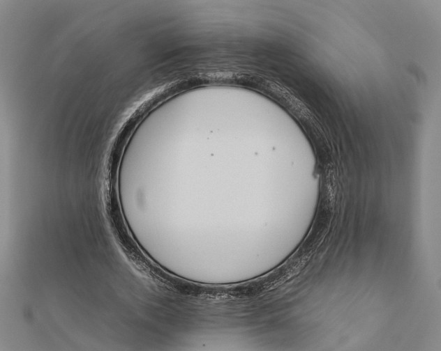 X0000112090728200909011104