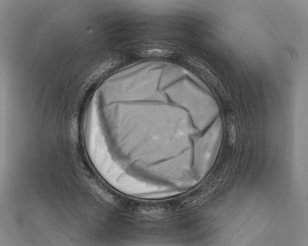 X0000112090729200909011104