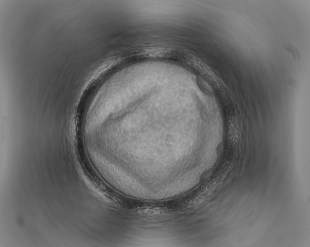 X0000112090730200909011104