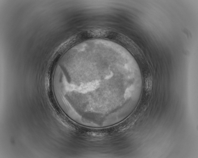 X0000112090733200909011104