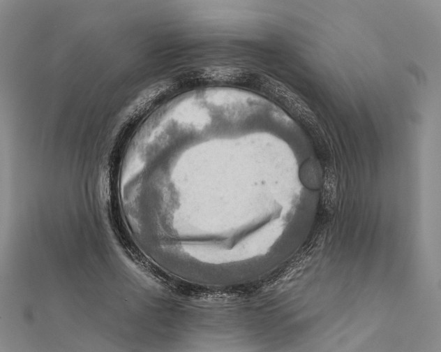 X0000112090734200909011104