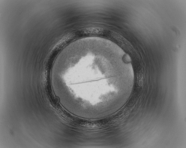 X0000112090735200909011104