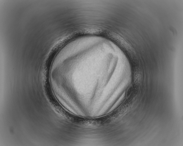 X0000112090736200909011104
