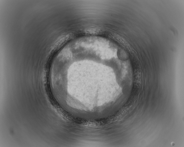 X0000112090738200909011104