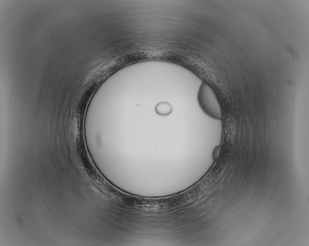 X0000112090740200909011104