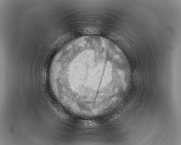 X0000112090741200909011104