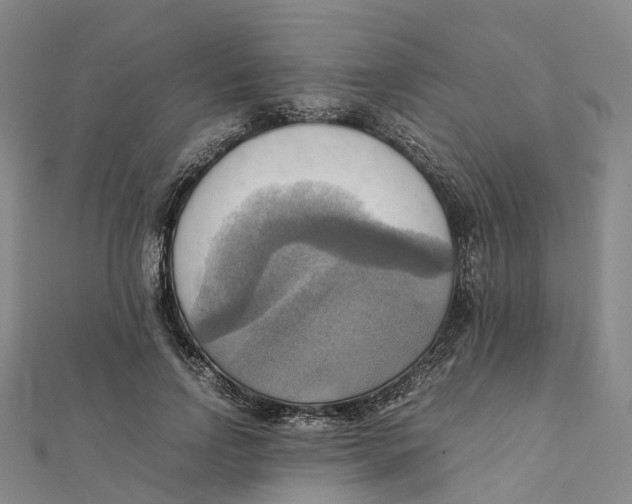 X0000112090742200909011104