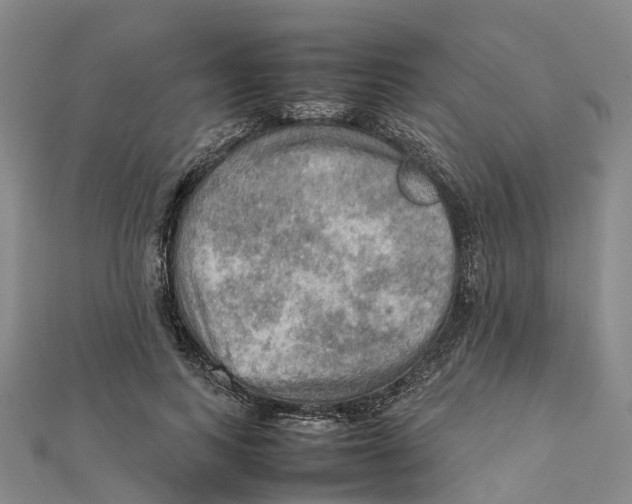 X0000112090743200909011104
