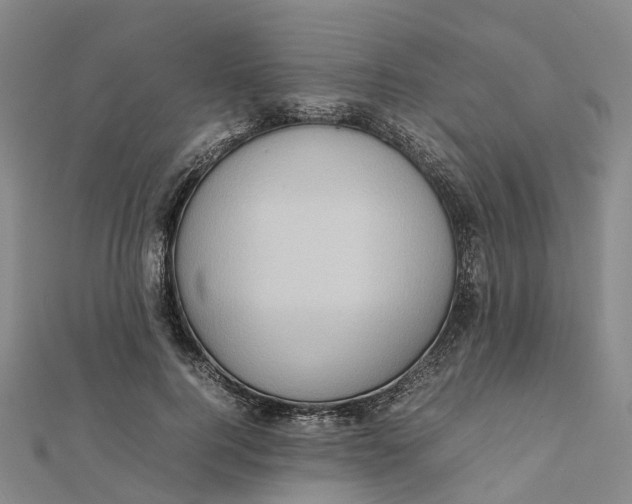 X0000112090744200909011104