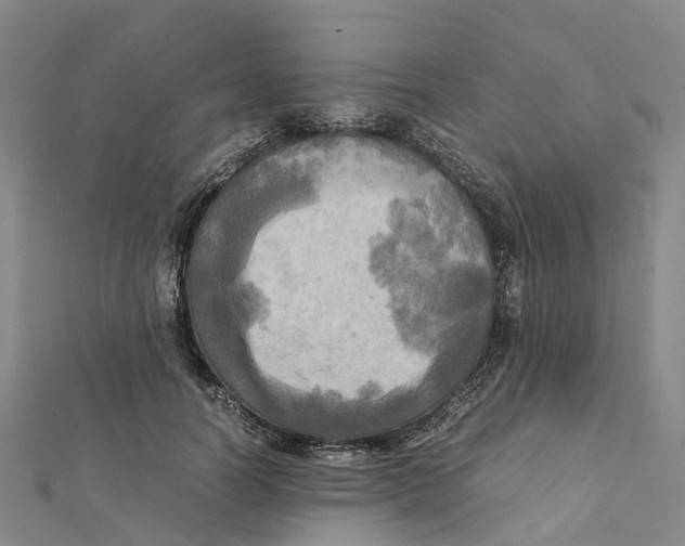 X0000112090746200909011104
