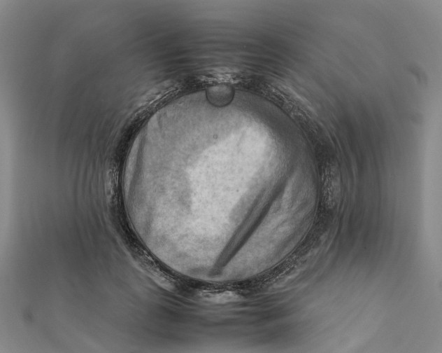 X0000112090747200909011104