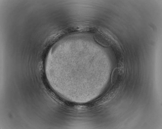 X0000112090748200909011104