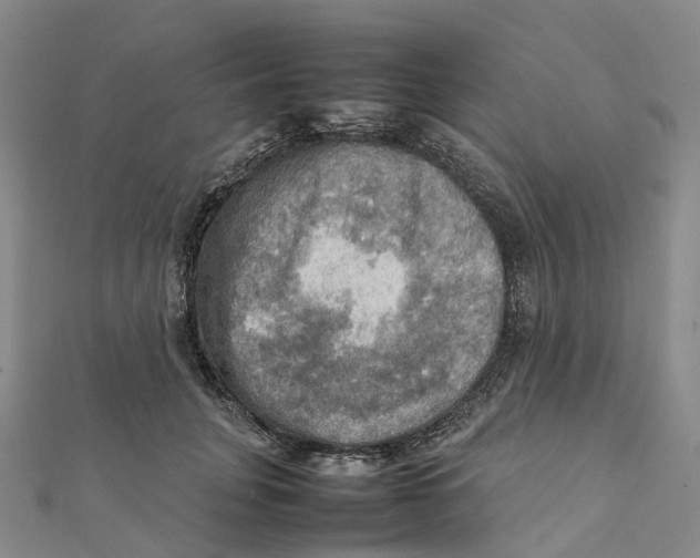 X0000112090751200909011104