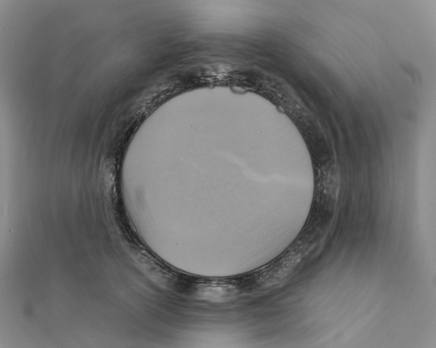 X0000112090754200909011104