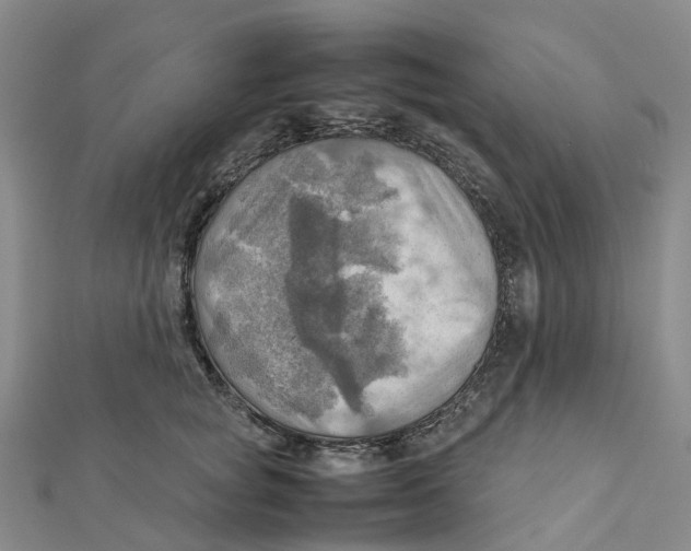 X0000112090757200909011104