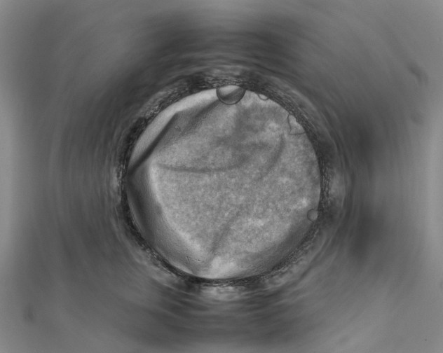 X0000112090759200909011104