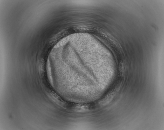 X0000112090760200909011104