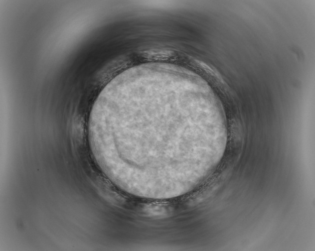 X0000112090761200909011104