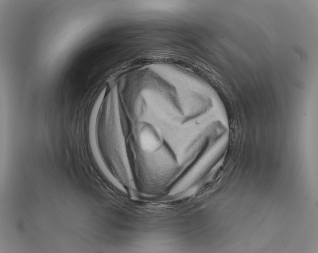 X0000112090762200909011104