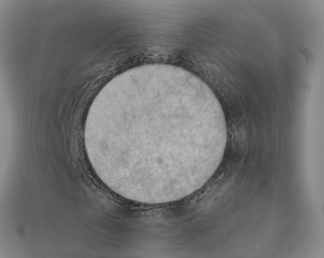X0000112090769200909011104