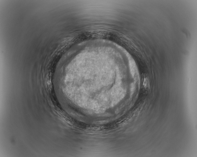 X0000112090771200909011104