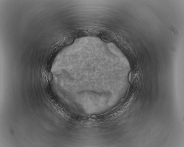 X0000112090772200909011103