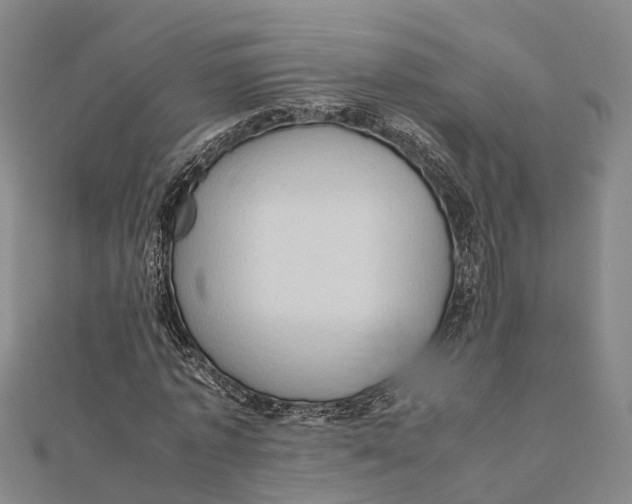 X0000112090773200909011103