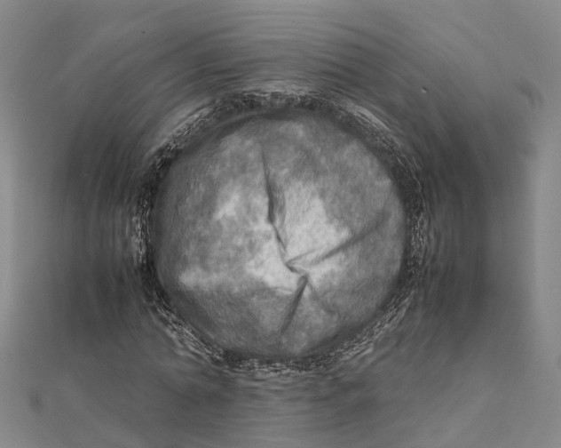 X0000112090774200909011103