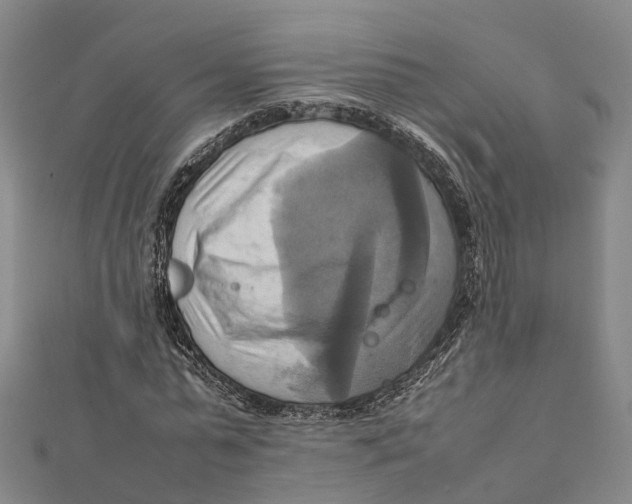 X0000112090775200909011103