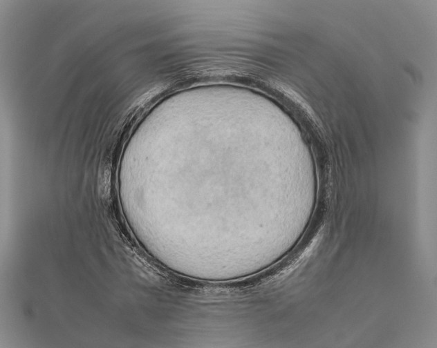 X0000112090777200909011103