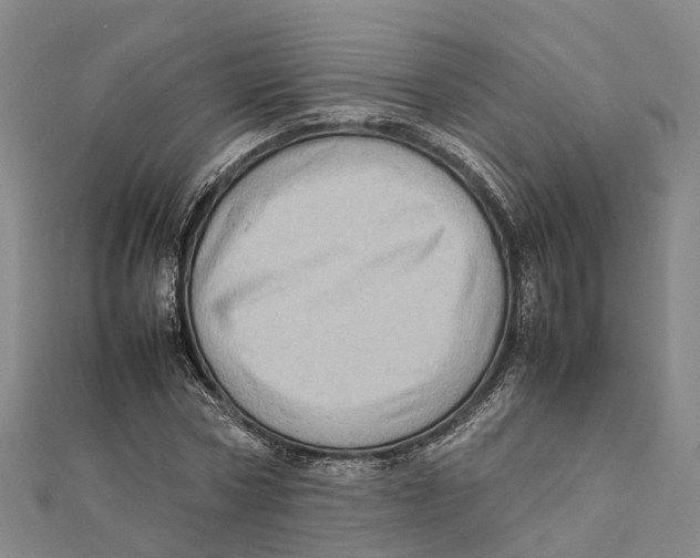 X0000112090778200909011103
