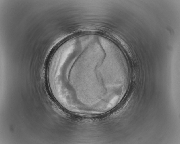 X0000112090779200909011103