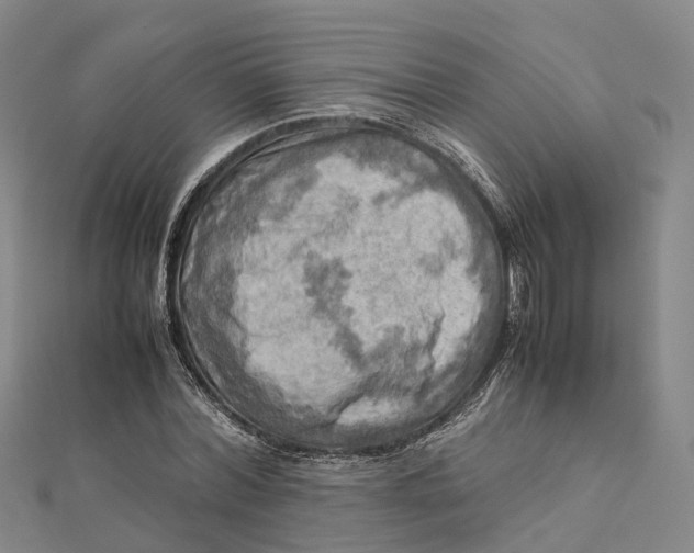 X0000112090780200909011103