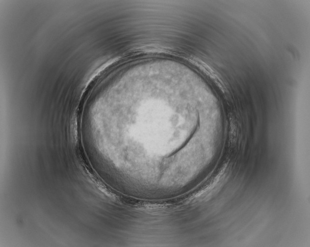 X0000112090782200909011103