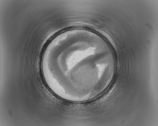 X0000112090783200909011103