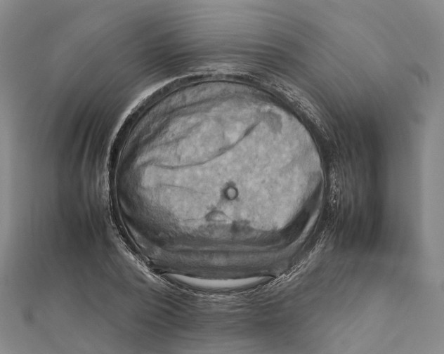 X0000112090784200909011103