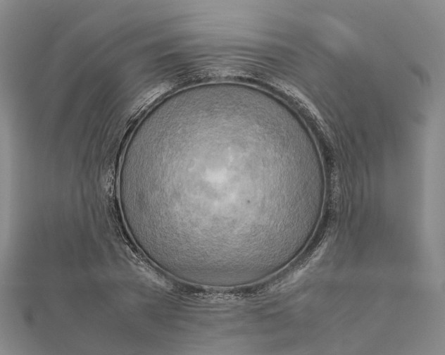 X0000112090785200909011103