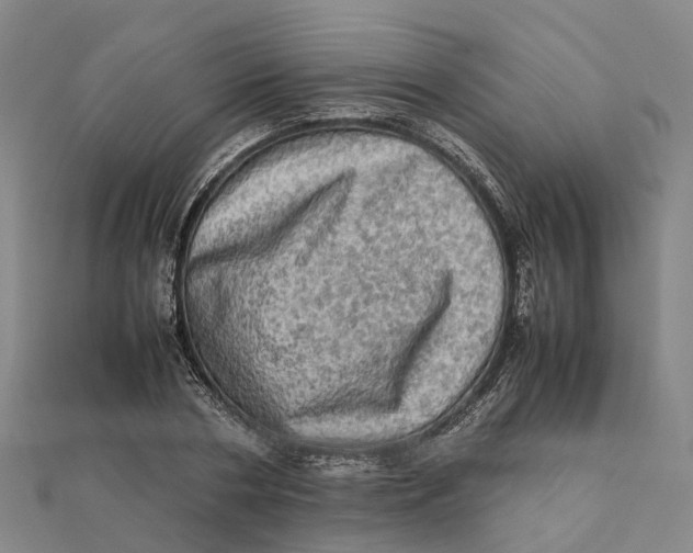 X0000112090786200909011103