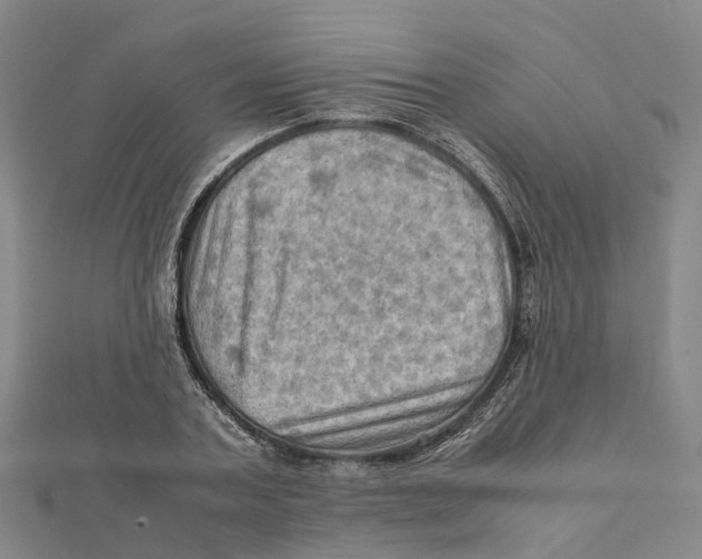 X0000112090787200909011103