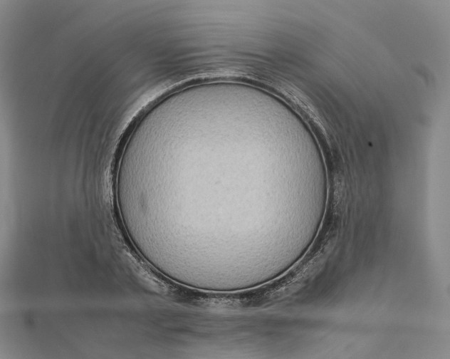 X0000112090789200909011103