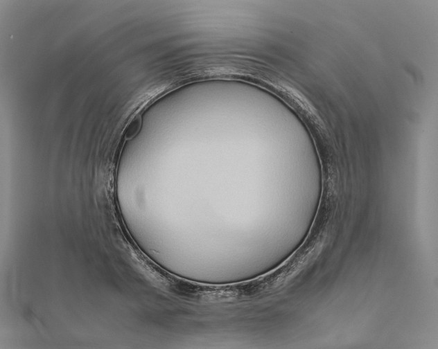 X0000112090793200909011103
