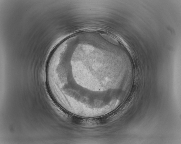 X0000112090795200909011103