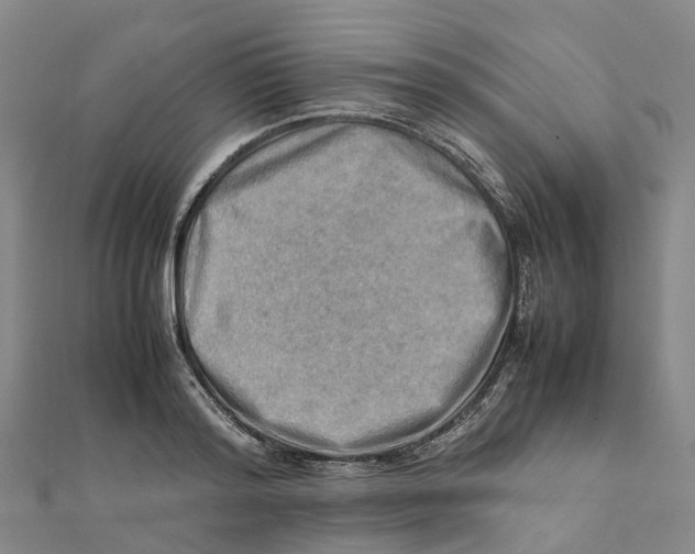 X0000112090796200909011103