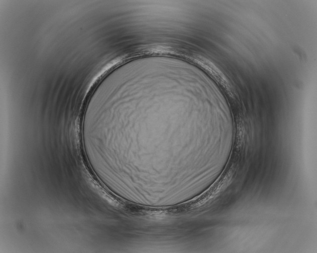 X0000112090798200909011103